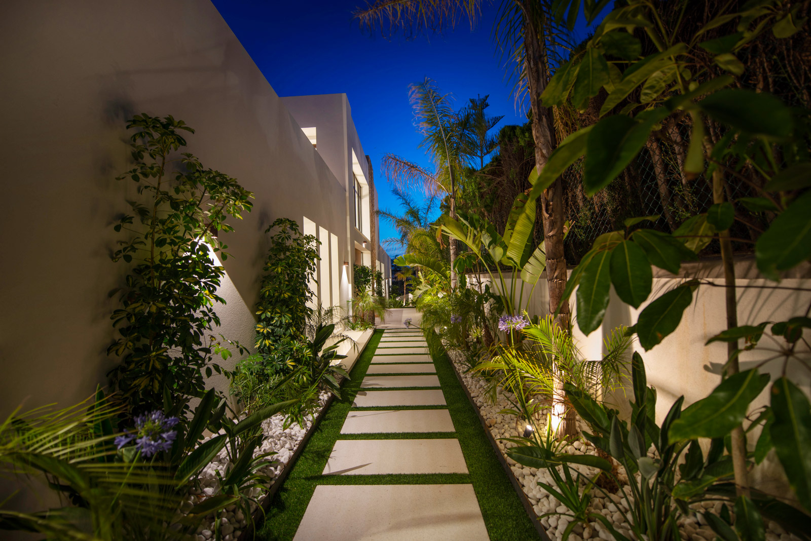 Night View